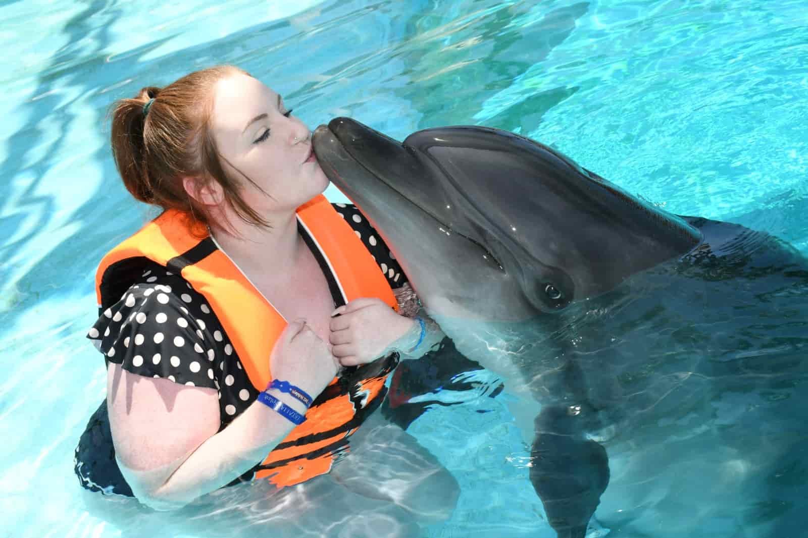 Swimming with Dolphins in Kemer | Transfer Included