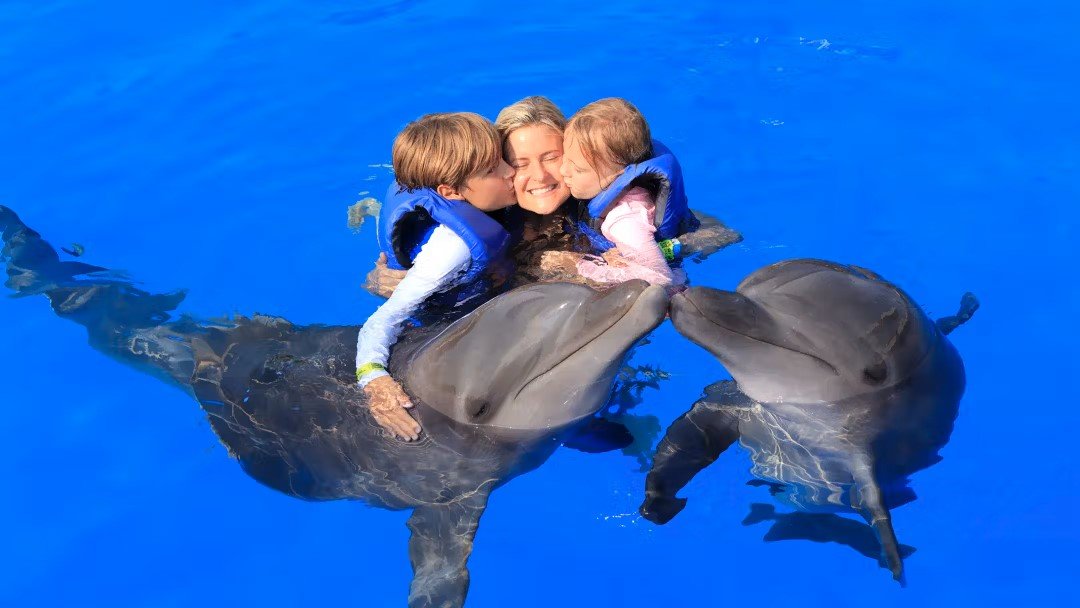 Swimming with dolphins in Belek | Transfer Included
