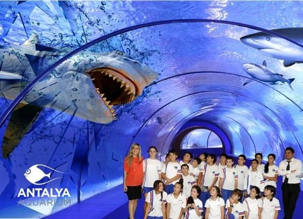 Antalya Aquarium Tour | Free Pick Up